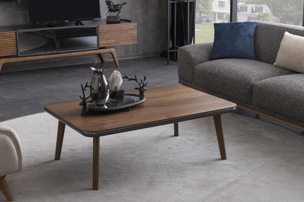 Kaffeetisch Sofatisch Couchtisch Beistelltisch Wohnzimmertisch Holz Tisch-image