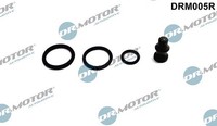 Dr.Motor Automotive Reparatursatz, Pumpe-DüSe-Einheit U.A. FüR Audi, Chrysler