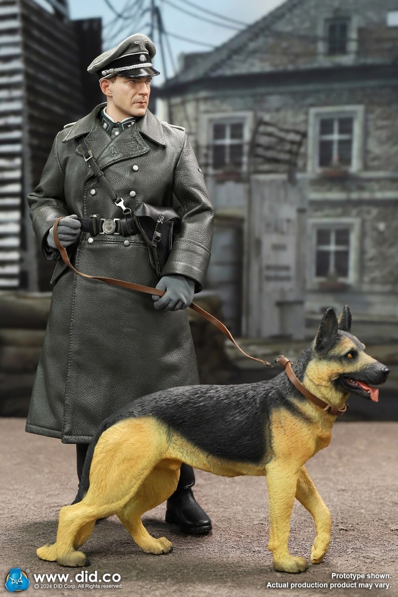 DID D80178 1/6 WWII German Officer Amon Göth Collectible Male