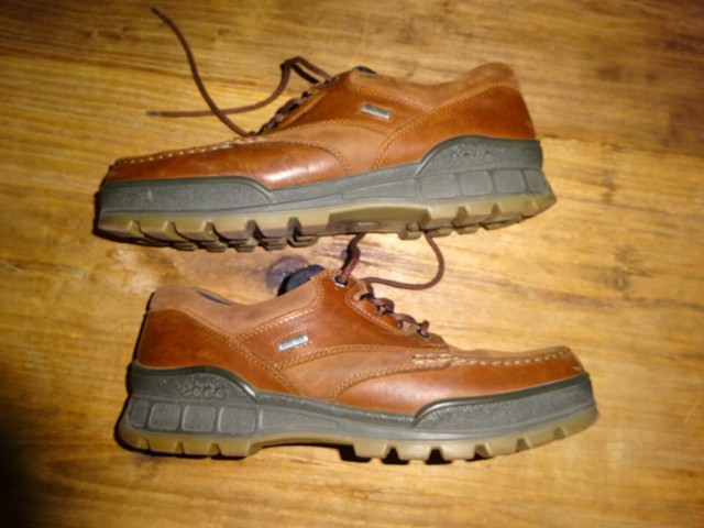 ecco track shoes
