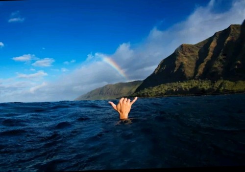 An Account of the Sandwich Islands Hawaii History John Whitman Journal Rare Book - Picture 10 of 10