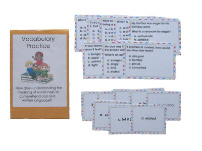 Teacher Made Literacy Center Learning Resource Game Vocabulary Practice