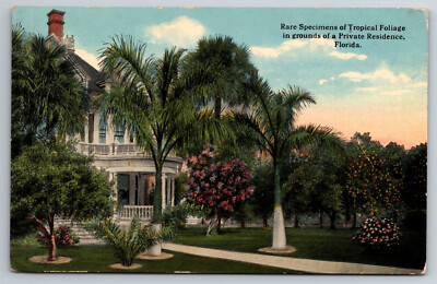 Vintage Postcard FL Fancy Home Tropical Foliage Divided Back ~1795