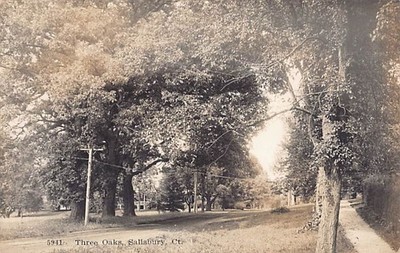 SALISBURY, CT ~ Three Oaks ~ DeMars Real Photo Post Card #5941 dated 1915
