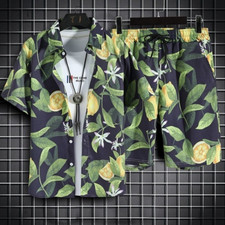 Beach Clothes Men 2pcs Set Vacation Shirt Shorts Set Men Printing Outfits Summer