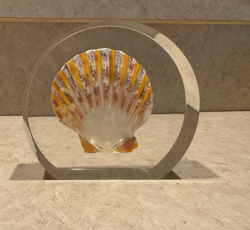 Beautiful Hand Painted Scallop Seashell Embedded in Acrylic Mold Decor