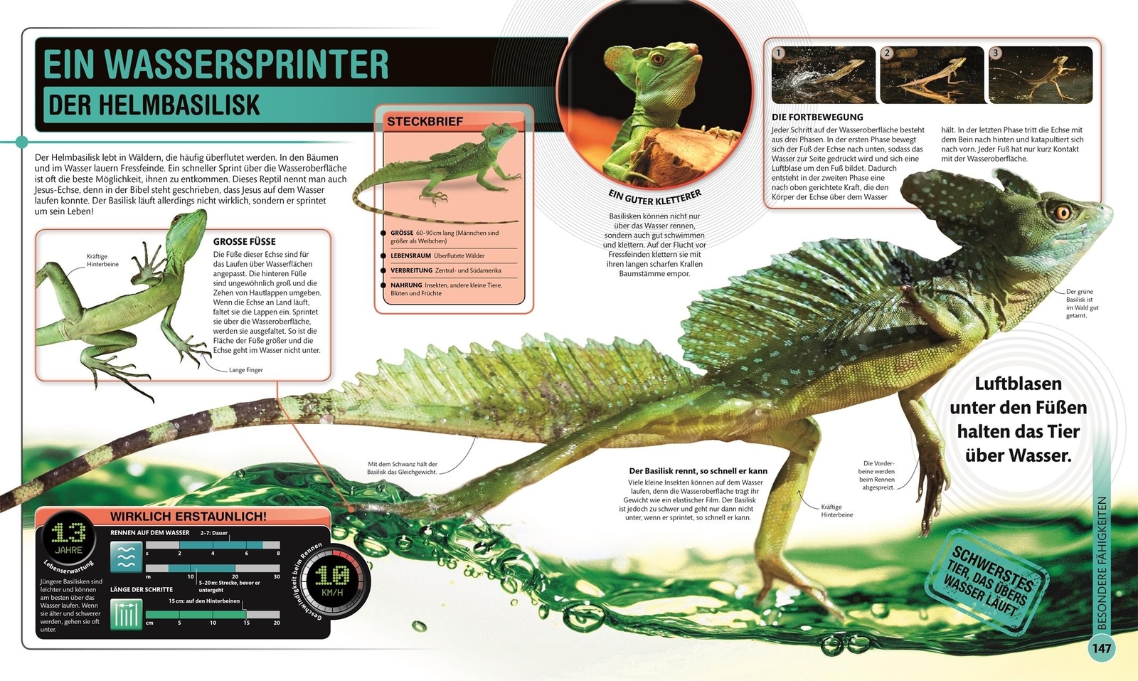 Thumbnail - Supertiere Derek Harvey