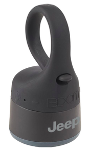 boom duo bluetooth speaker