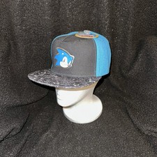Sonic The Hedgehog Adjustable Baseball Cap SnapBack With Flat Brim One Size NWT