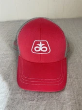 Dupont Pioneer Corteva Agriscience Youth Size Hat Farming Seeds Pink mesh trucke