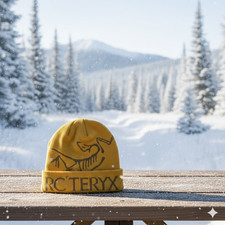 Arc'teryx Bird Word Toque Beanie Yellow Void Wool Winter Hat NWT