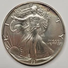 1991 Walking Liberty Silver Dollar 1 Oz. Fine Silver In Case -Light Toning #35DR