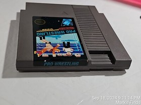 Pro Wrestling (5 Screw) (NES, 1988) Cart Only with plastic Case Tested
