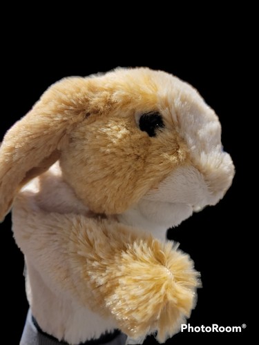 Folkmanis Little Lop Eared Rabbit Puppet 6" Bunny Rabbit Puppet Easter Garden - Picture 3 of 9
