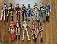 WWE Action Figure Lot 13 Figures 