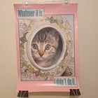 Foto 1 di 6