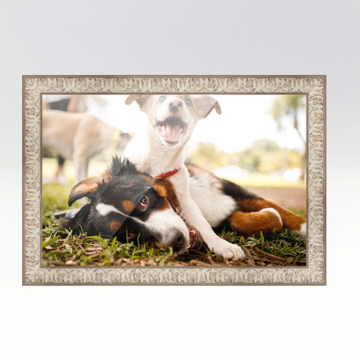 20x28 2024 picture frame