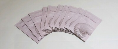 10x aldo Vandini Meerschlam&Magnesium Gesichtsmaske Matcha & Ingwer 100ml=6.66 