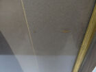 Bild 7 von 12