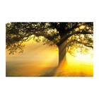 Bild 14 von 14