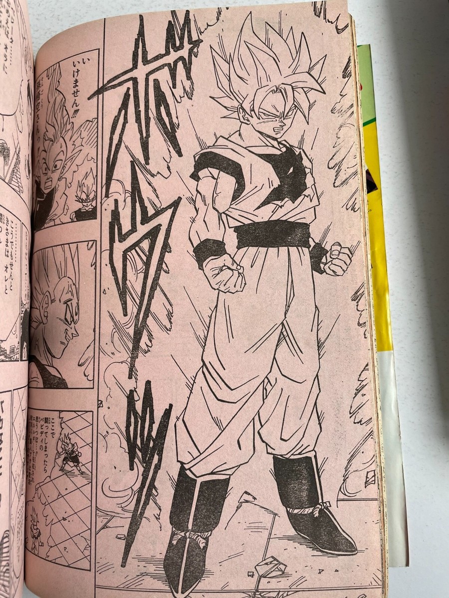 ジャンプ　1999 $_57.JPG?set_id=880000500F
