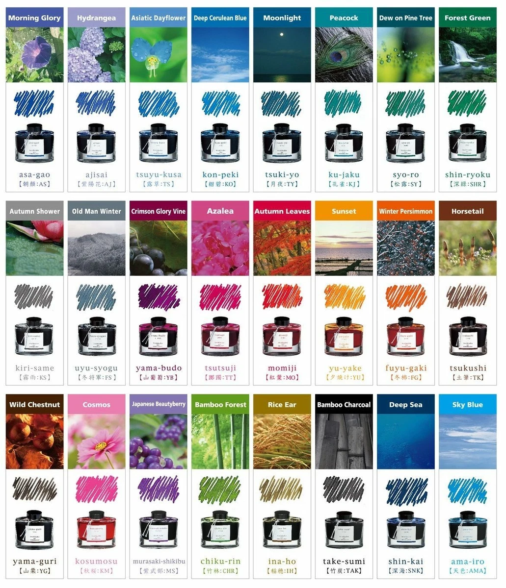 Pilot Iroshizuku Fountain Pen Ink, 50ml Bottle, Choose from 24 Inspiring  Colors