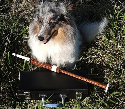 Practice Chanter, Übungsflöte für Dudelsack incl Koffer + 3 Reeds aus  Rosenholz - Afbeelding 2 van 5