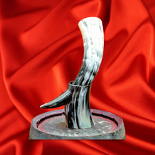 Lot of 10 unit Antique drinking horn with bovine horn stand for beer ale whisky