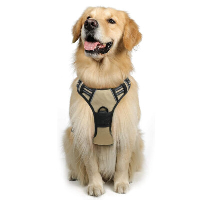 rabbitgoo Dog Harness with 2 Leash Clips No-Pull Reflective Vest for Large Dogs