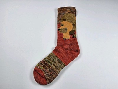 Bombas Eric Carle Brown Bear, What Do You See? Socks Size M