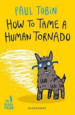 How to Tame a Human Tornado - Paperback, by Paul Tobin - Good x
