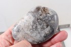 Petoskey Stone Fossil Coral Lapidary 13 oz. windowed three pc rough lot P3 — photo 4