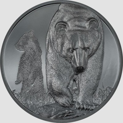 Mongolia 2023 1000 Togrog BROWN BEAR Growing Up 2 Oz silber Münze