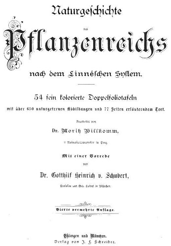 1887 WILLKOMM/SCHUBERT CHROMO ilex, plantain, pondweed, false vine, burnet, ... - Picture 2 of 3