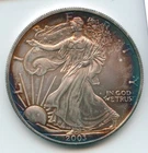 2003 American Eagle 1 oz Silver Dollar - Toned Toning ounce Bullion Coin - SR136