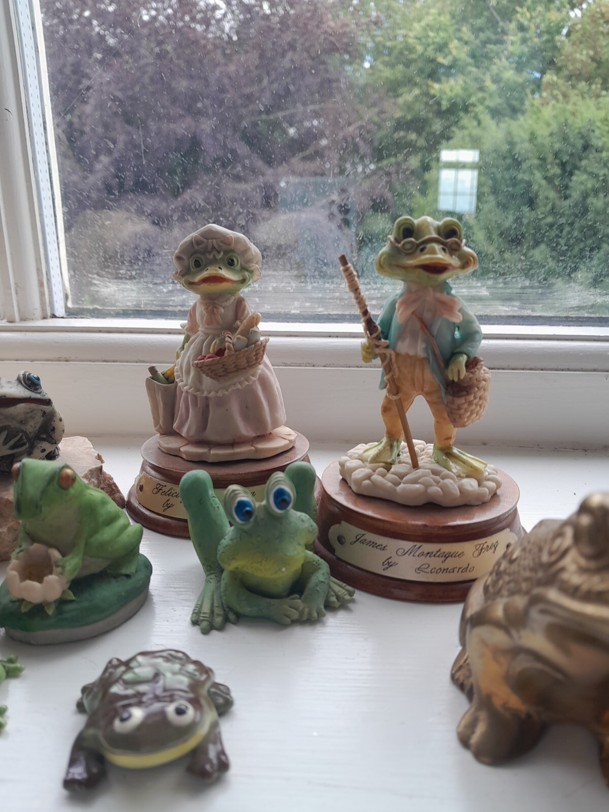 Frog Collection eBay
