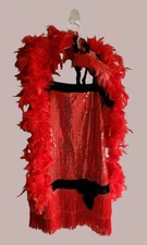 Red Flapper Dress Black Trim With Red Feather Boa Headband Med Never Worn