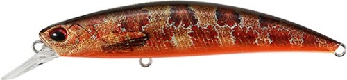 Duo Ryuki 70 S - Photo 22/80