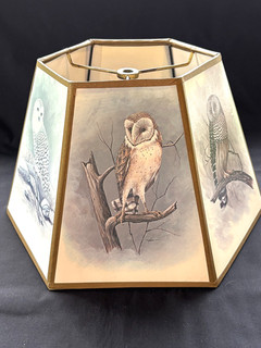 Small 6 Sided Owl Lamp Shade Featuring 3 Different Owls