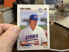 1992 (METS) SkyBox AAA #111 Terry Bross