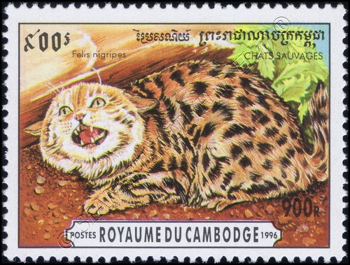 Gatti piccoli (MNH) - Foto 6 di 7