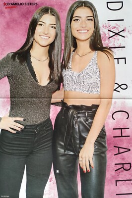 CHARLI & DIXIE D´AMELIO - A3 Poster (42x28cm) - Sisters Clippings Sammlung BRAVO