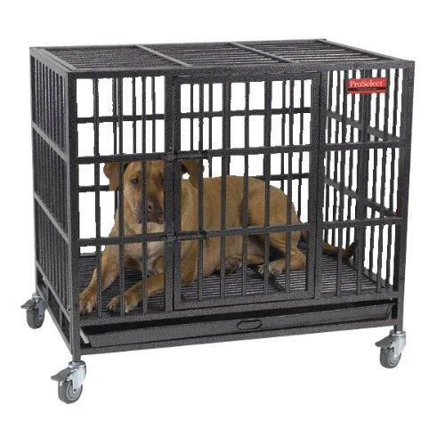 Guardian gear proselect clearance empire dog cage large