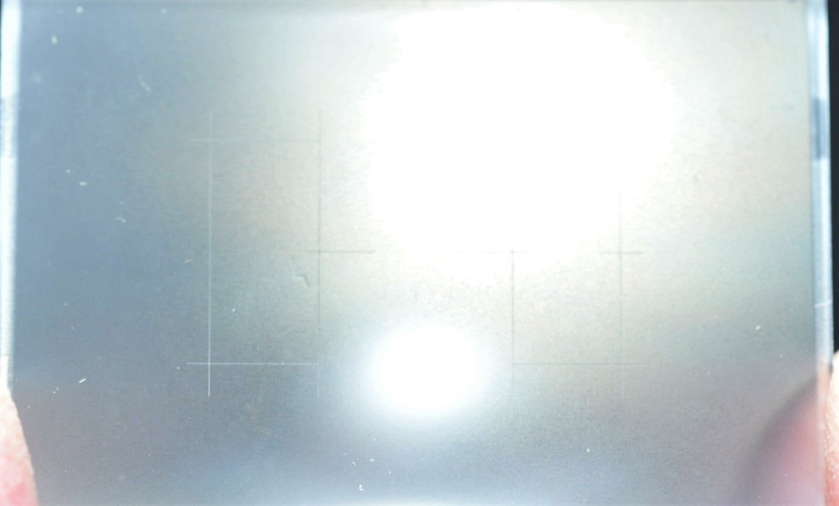 Nikon Focusing Screen E Grid Line for Nikon F100 Film SLR | eBay