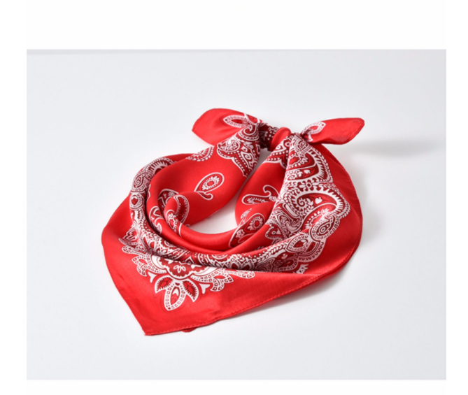 Men's 100 Silk Paisley Scarf Square Neckerchief 2pieces Black Red