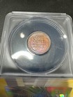 1924-S 1C Lincoln Wheat Cent ANACS EF  45 — photo 2