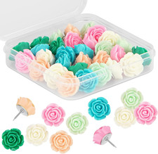 Push Pins for Cork Board - 30Pcs Decorative Push Pins with Case, Cute Thumb Tac