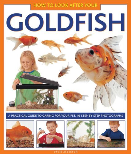How to Look After Your Goldfish : A Practical Guide To Caring Fo