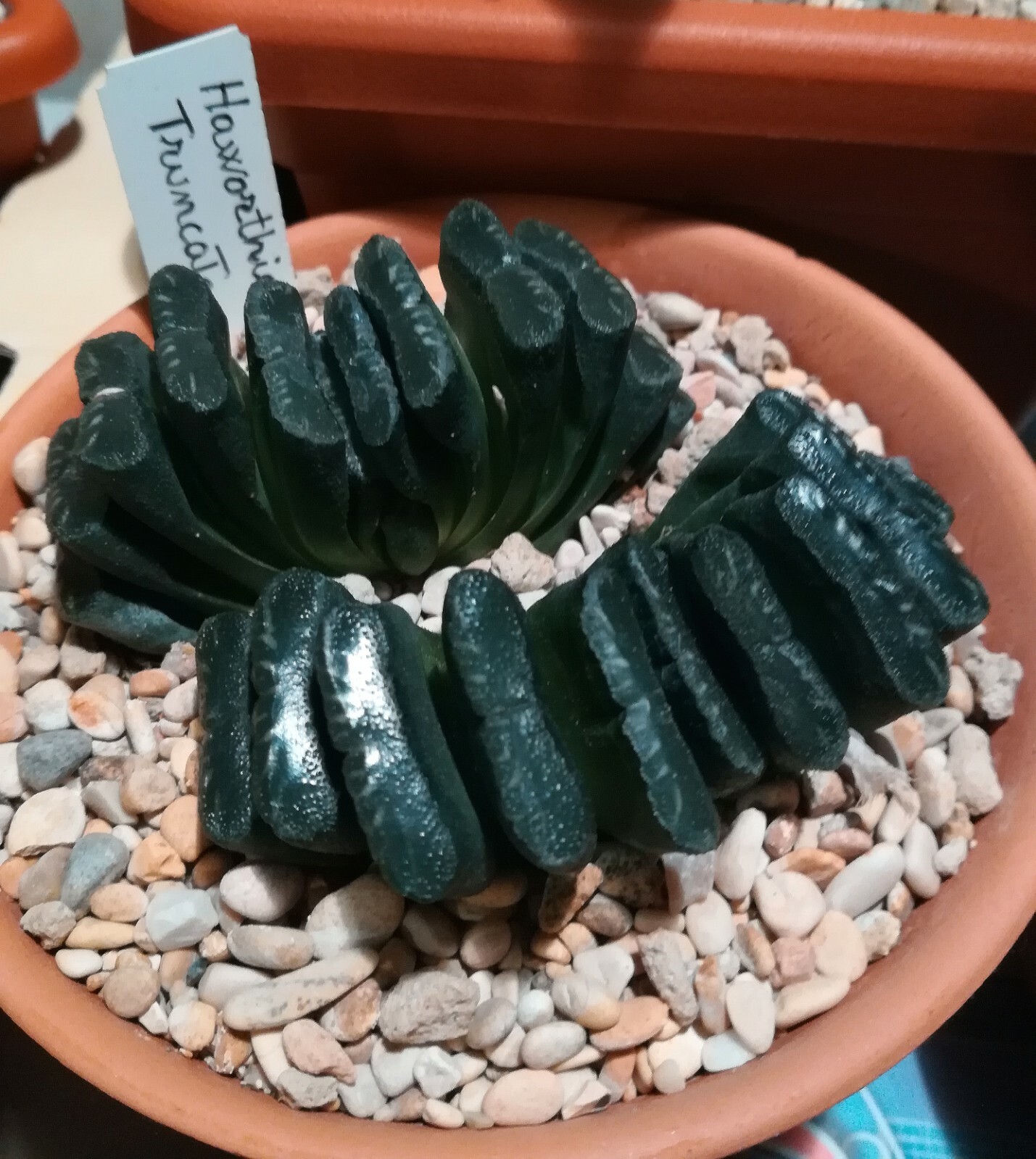 Foto 1 di 3
