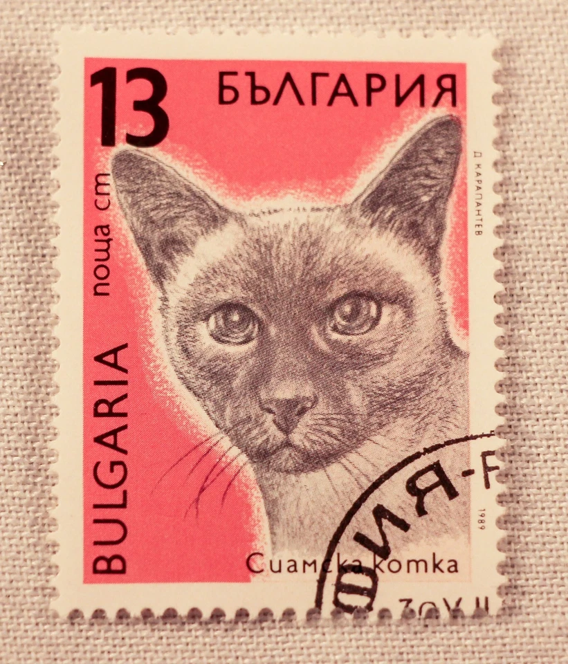 1989 Bulgaria Domestic Cats definitive six stamps cancelled various denomination - Image 2 of 4